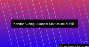 Kondor Kucing Edarkan Slot Online Lewat Wifi Sekolah
