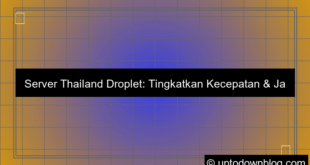 ilustrasi server thailand droplet