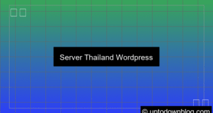 visual server thailand wordpress