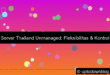 grafik server thailand unmanaged