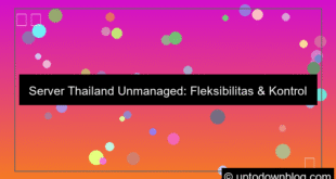 grafik server thailand unmanaged